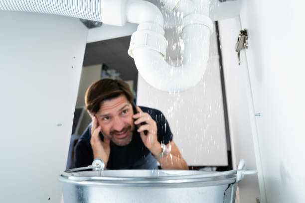 Best Boilers & Radiators  in Elwood, IL