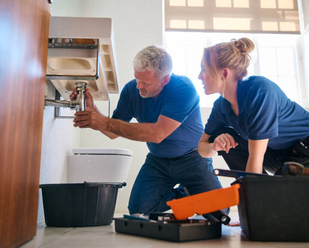 Best Plumbing Repair Near Me  in Elwood, IL